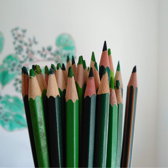 group-of-green-pencil-crayons